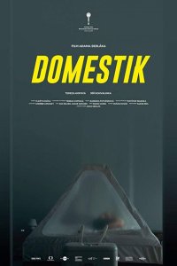  Домашний режим (2018) 