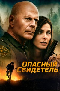  Опасный свидетель (2022) 