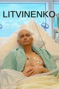  Литвиненко (2022) 
