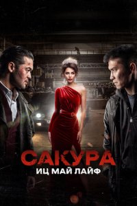  Сакура (2024) 